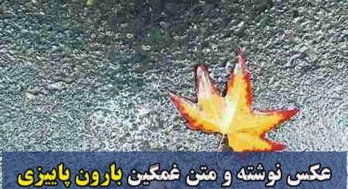 عکس بارون پاییزی برای پروفایل