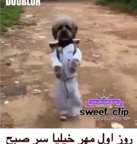 عکس اول مهر طنز