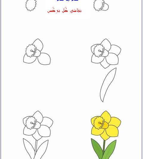 عکس نقاشی گل نرگس ساده