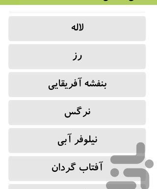 عکس نقاشی گل نرگس ساده