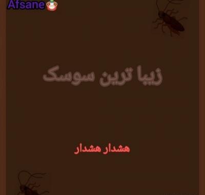 عکس های سوسک له شده