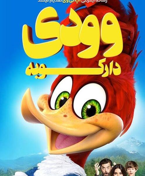 عکس تصاویر متحرک دارکوب