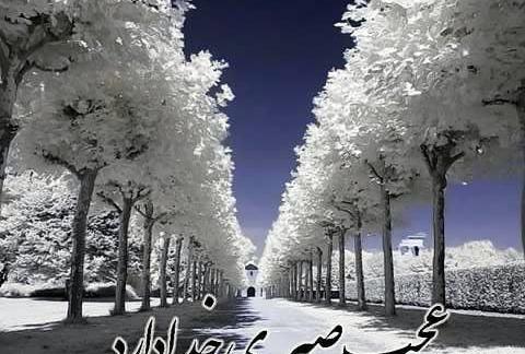 عکس سحر نزدیک است