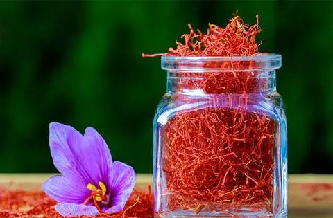 عکس فیلم زعفران