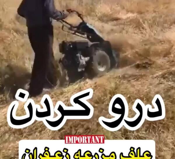 عکس فیلم زعفران