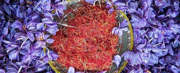 عکس فیلم زعفران