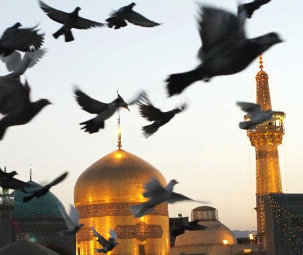 عکس حرم امام رضا زن
