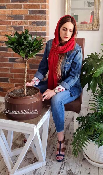 عکس شقایق های زیبا