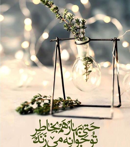 عکس نیمه شعبان طنز