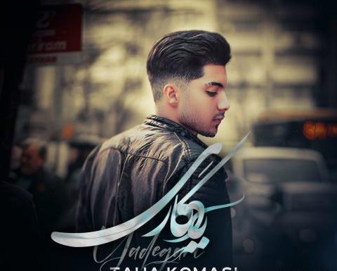 عکس شاهین طاها