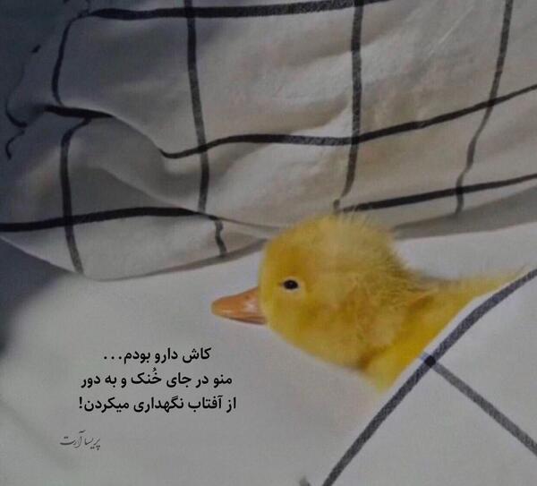 عکس جوک خنده دار باحال