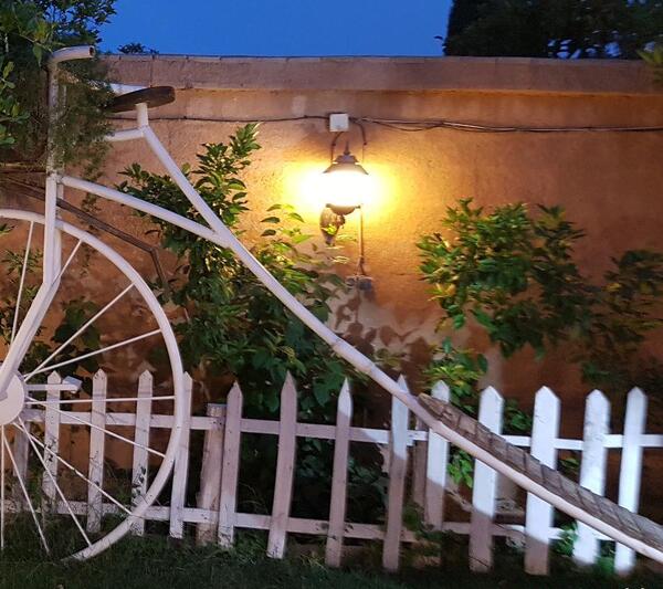 عکس کافه برکه شیراز