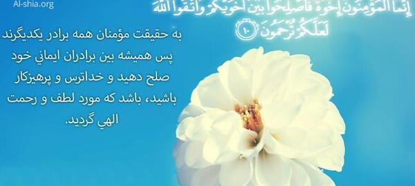 عکس ضرب المثل گدا به گدا رحمت به خدا