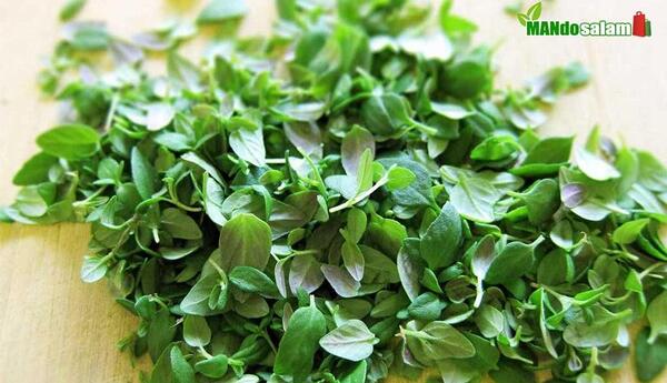 عکس آویشن دم کرده