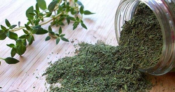 عکس آویشن دم کرده