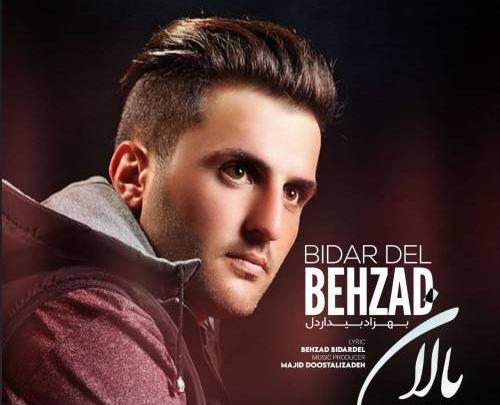 عکس بهزاد اصبری