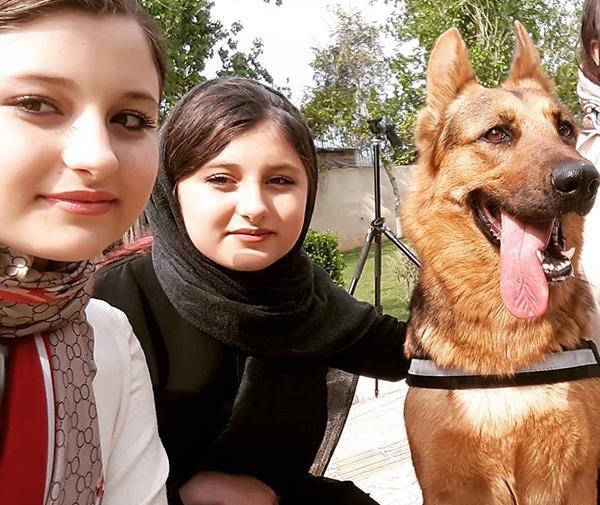 عکس سارا فرقانی اصل تنها