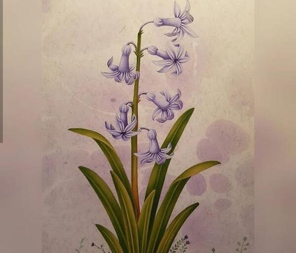 عکس نقاشی گل گندم