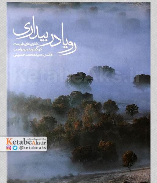 عکس رویا حسینی