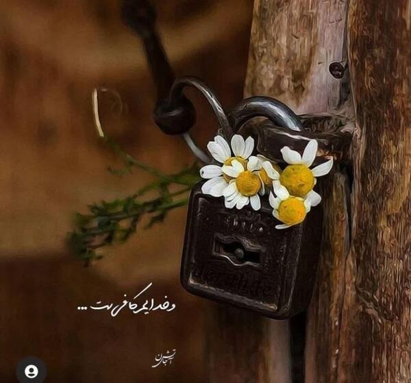 عکس نوشته خدا ویسگون