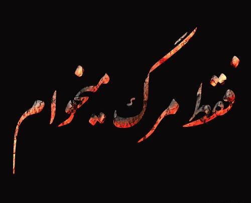 عکس نوشته فقط میخوام بمیرم