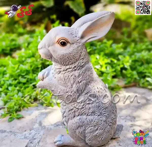 عکس خرگوش خاکستری