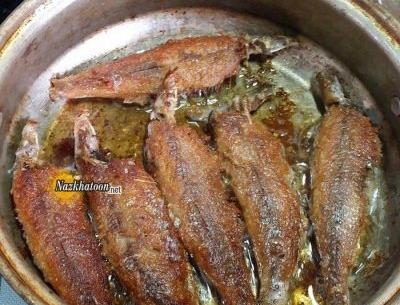 عکس از انواع غذاهای ایرانی
