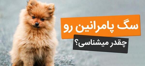 عکس پامرانین کراس