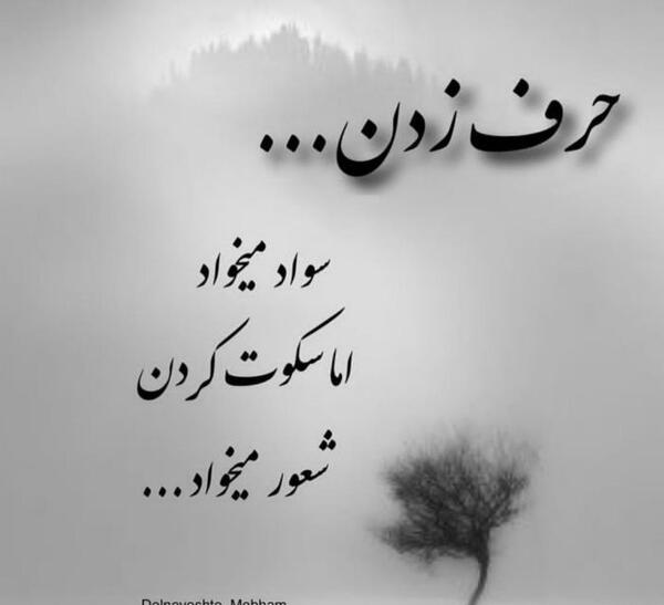 عکس فاطمه رحمانی