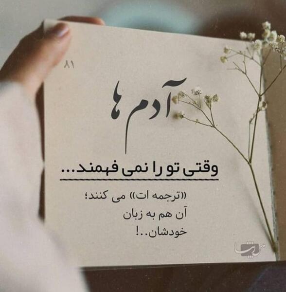 عکس فاطمه رحمانی