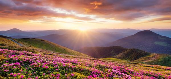 عکس زیبا طبیعت بهار