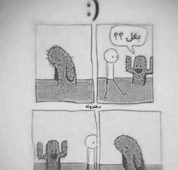عکس شهر کاکتوس