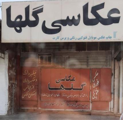 آتلیه عکس گلها