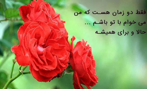 عکس نوشته ایه چشم زخم