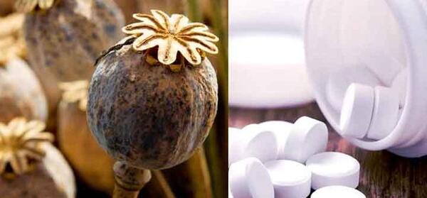 تریاک عکس قرص متادون قهوه ای
