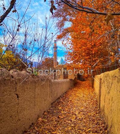 عکس پاییزی کوچه باغ