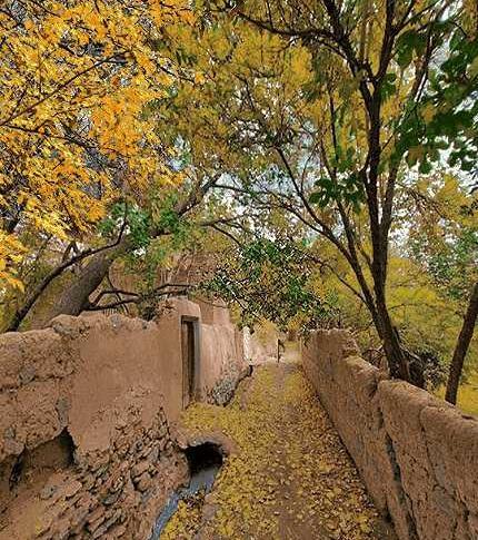 عکس پاییزی کوچه باغ