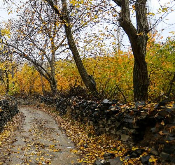 عکس پاییزی کوچه باغ