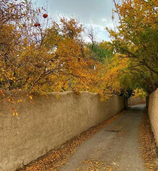عکس پاییزی کوچه باغ