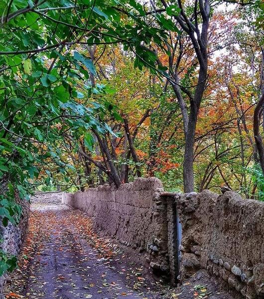 عکس پاییزی کوچه باغ