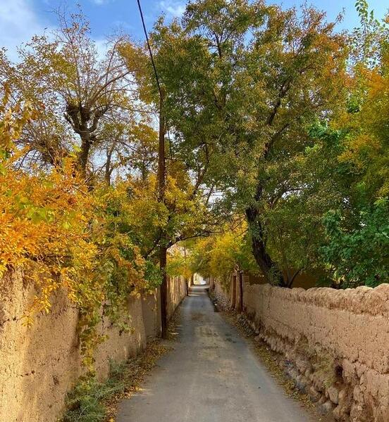 عکس پاییزی کوچه باغ