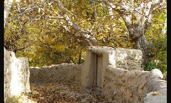 عکس پاییزی کوچه باغ