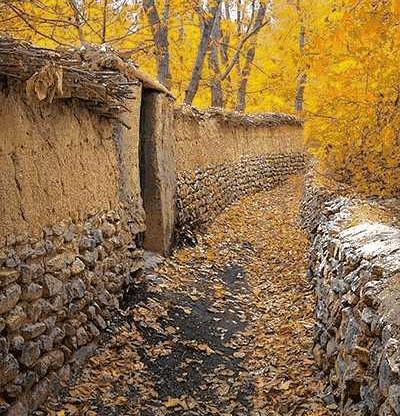 عکس پاییزی کوچه باغ