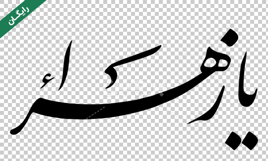 عکس زهرا زیبا