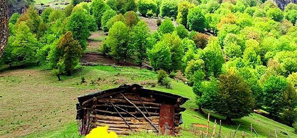 عکس جاهای دیدنی رودبار