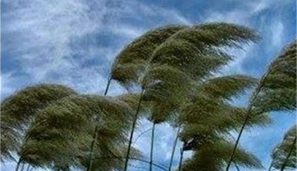 عکس بارش پراکنده