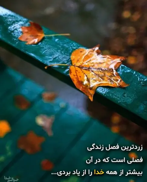 عکس پاییزی خدا
