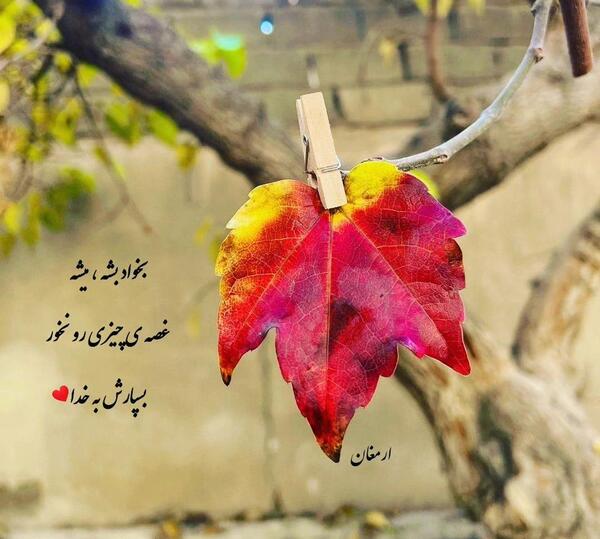 عکس پاییزی خدا