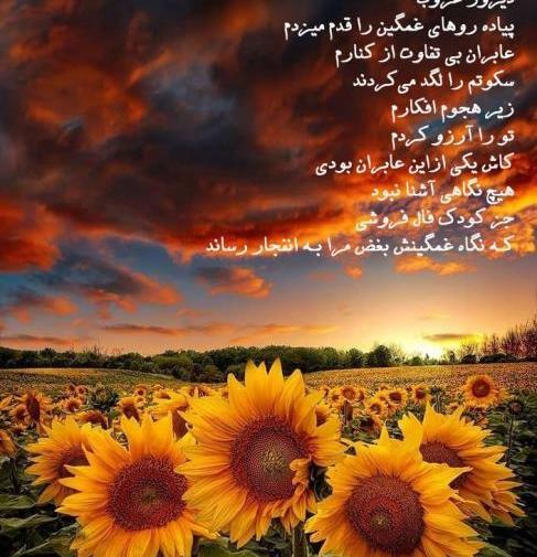 عکس نوشته ی طلوع خورشید