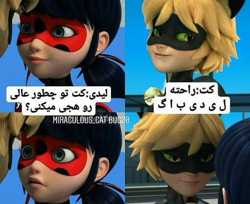 عکس لیدی باگ و کت نوار کیوت